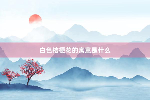 白色桔梗花的寓意是什么