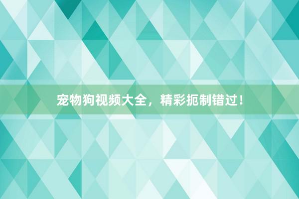 宠物狗视频大全，精彩扼制错过！