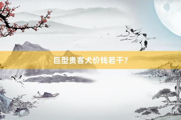 巨型贵客犬价钱若干？